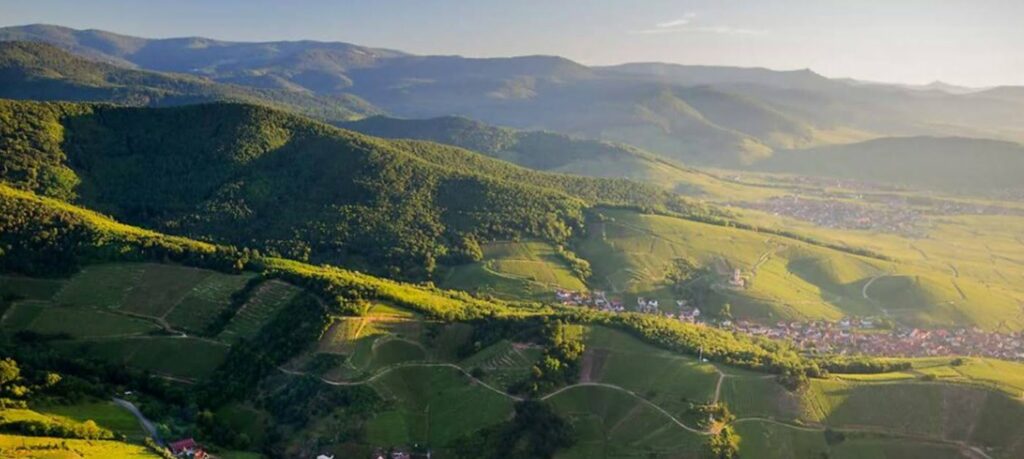 Secrets Of Alsace: Wine, Food, And Scenery.