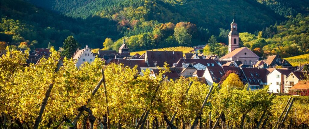 Secrets Of Alsace: Wine, Food, And Scenery.