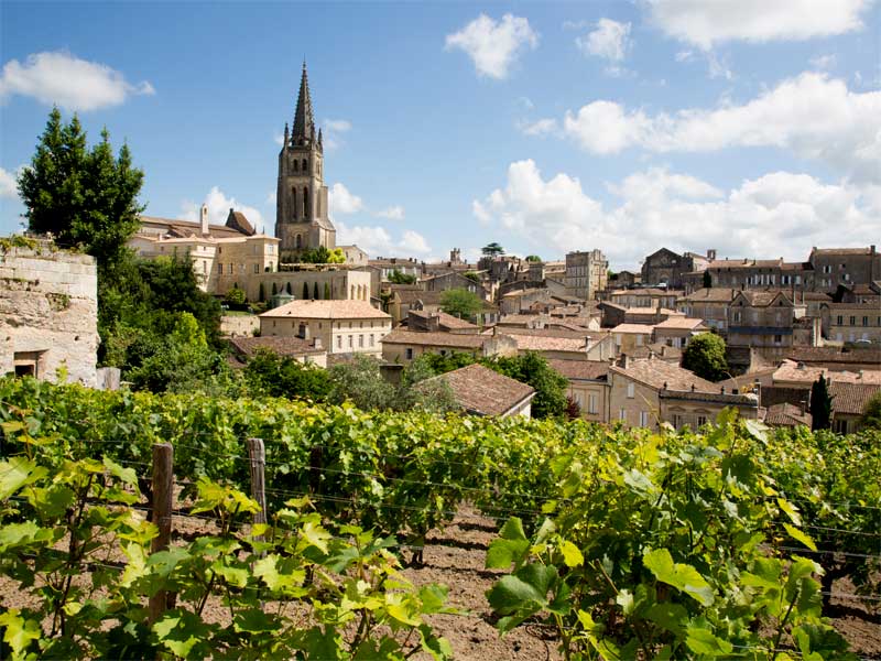The Wine Lovers Guide To Bordeaux.